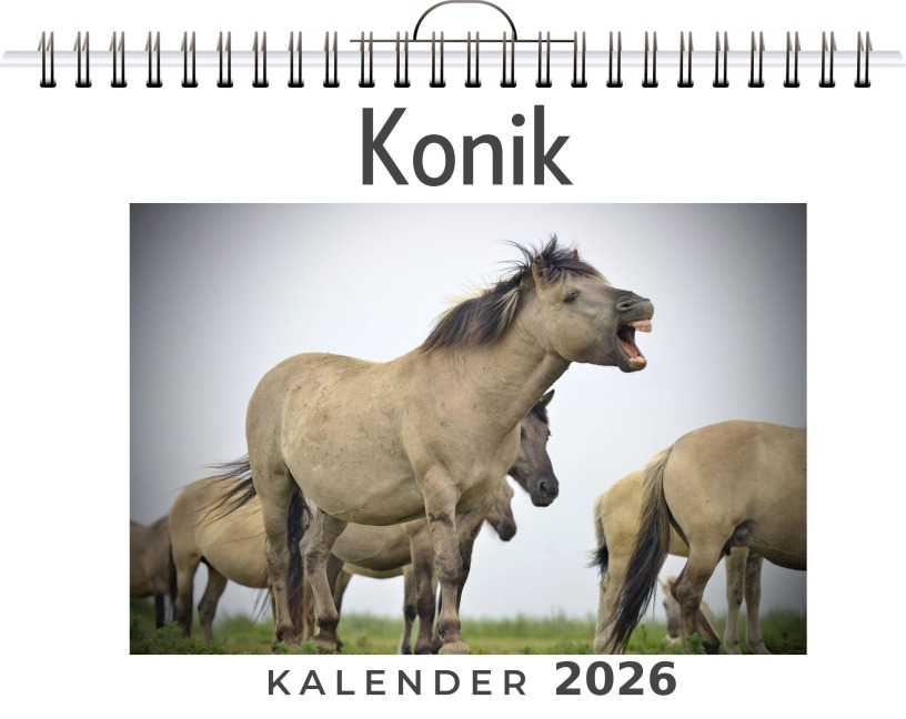 Konik - Emily Möller