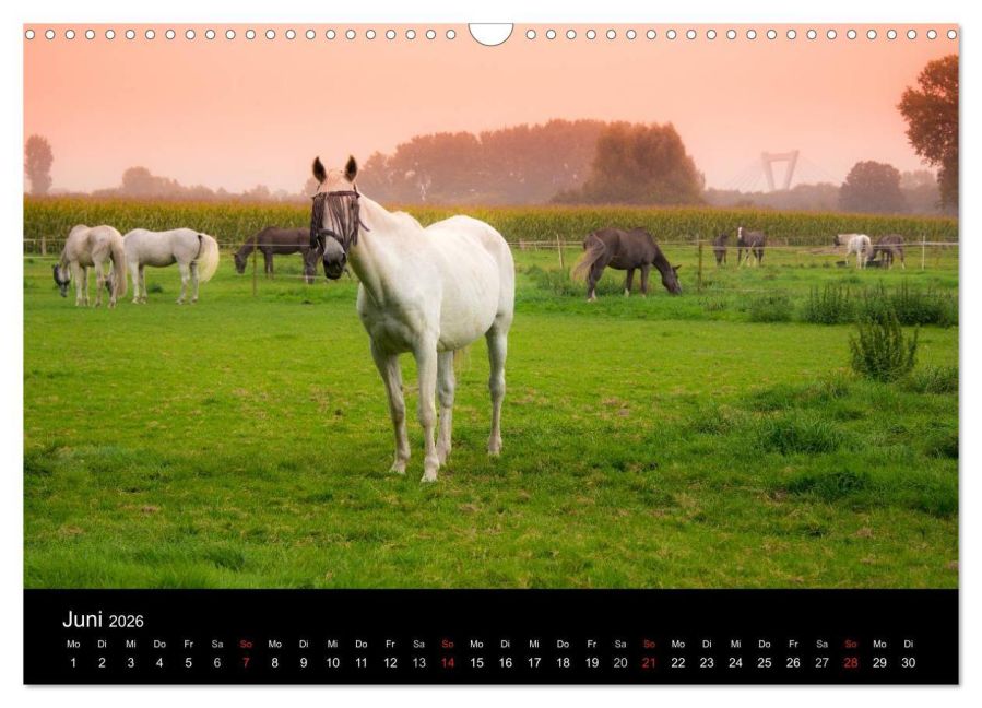 InsideView 11