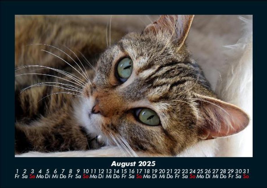 InsideView 12