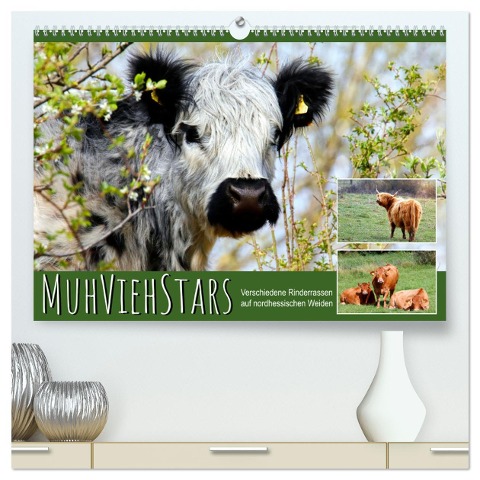 MuhViehStars (hochwertiger Premium Wandkalender 2025 DIN A2 quer), Kunstdruck in Hochglanz - Sabine Löwer