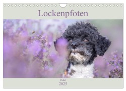 Lockenpfoten 2025 (Wandkalender 2025 DIN A4 quer), CALVENDO Monatskalender - Sabine Böke-Bergau www. boegau. de