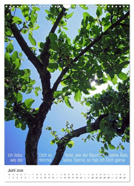 InsideView 11