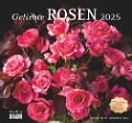 Geliebte Rosen 2025 - DUMONT Wandkalender - mit allen wichtigen Feiertagen - Format 38,0 x 35,5 cm - 