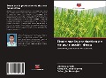 Cover-Bild zum Titel 'Étude sur la production de riz avec moins d'eau' von 'Uddipta Ghosh, Ranajit Kumar Biswas, Debargha Banerjee'
