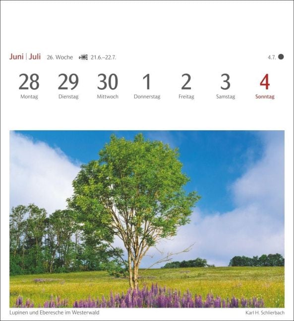 InsideView 7