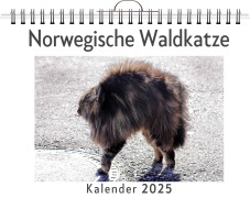 Cover-Bild zum Titel 'Norwegische Waldkatze' von 'Lina Schröder'
