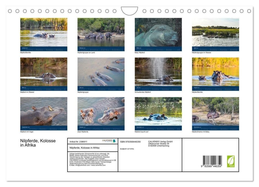InsideView 5