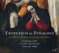 Cover-Bild zum Titel 'Missa Nunca Fue Pena Mayor' von 'Dominique/Ensemble Gilles Binchois Vellard'