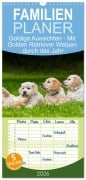 Cover-Bild zum Titel 'Familienplaner 2026 - Goldige Aussichten - Mit Golden Retriever Welpen durch das Jahr mit 5 Spalten (Wandkalender, 21 x 45 cm) CALVENDO' von 'Sigrid Starick'