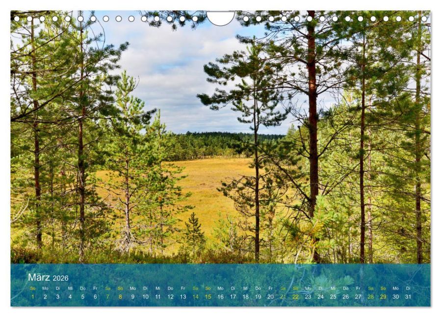 InsideView 8