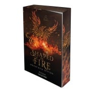 Cover-Bild zum Titel 'Shaped In Fire' von 'Anastasia Spitsin'