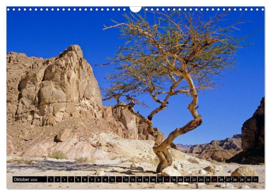 InsideView 12