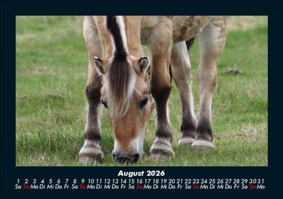InsideView 12