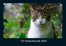 Cover-Bild zum Titel 'Für Katzenfreunde 2025 Fotokalender DIN A4' von 'Tobias Becker'