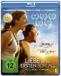 Cover-Bild zum Titel 'Liebe auf den ersten Schlag' von 'Thomas Cailley, Claude Le Pape, Benoit Rault, Lionel Flairs, Philippe Deshaies'