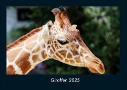 Cover-Bild zum Titel 'Giraffen 2025 Fotokalender DIN A4' von 'Tobias Becker'