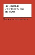 Cover-Bild zum Titel 'Un fou noir au pays des Blancs' von 'Pie Tshibanda'