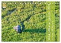 Wildes Okavangodelta (Tischkalender 2024 DIN A5 quer), CALVENDO Monatskalender - Silvia Trüssel