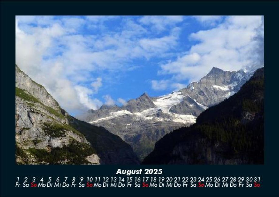 InsideView 12