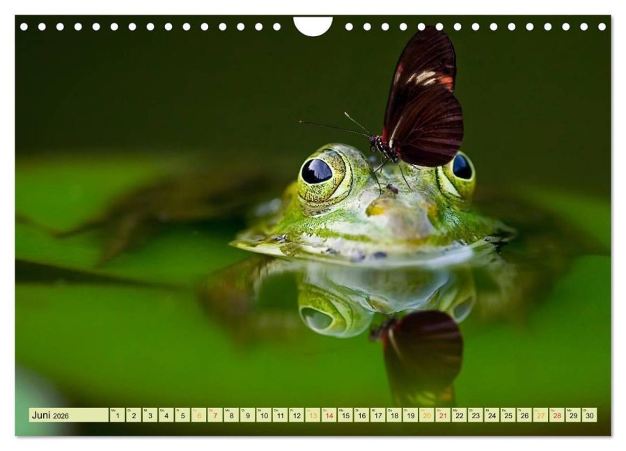 InsideView 11