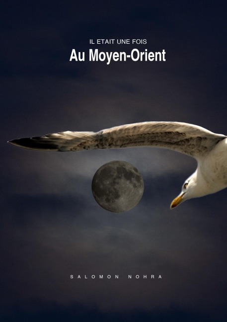 Il était une fois au Moyen-Orient - Salomon Nohra