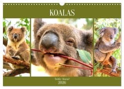 Koalas. Teddy-Alarm! (Wandkalender 2026 DIN A3 quer), CALVENDO Monatskalender - Rose Hurley