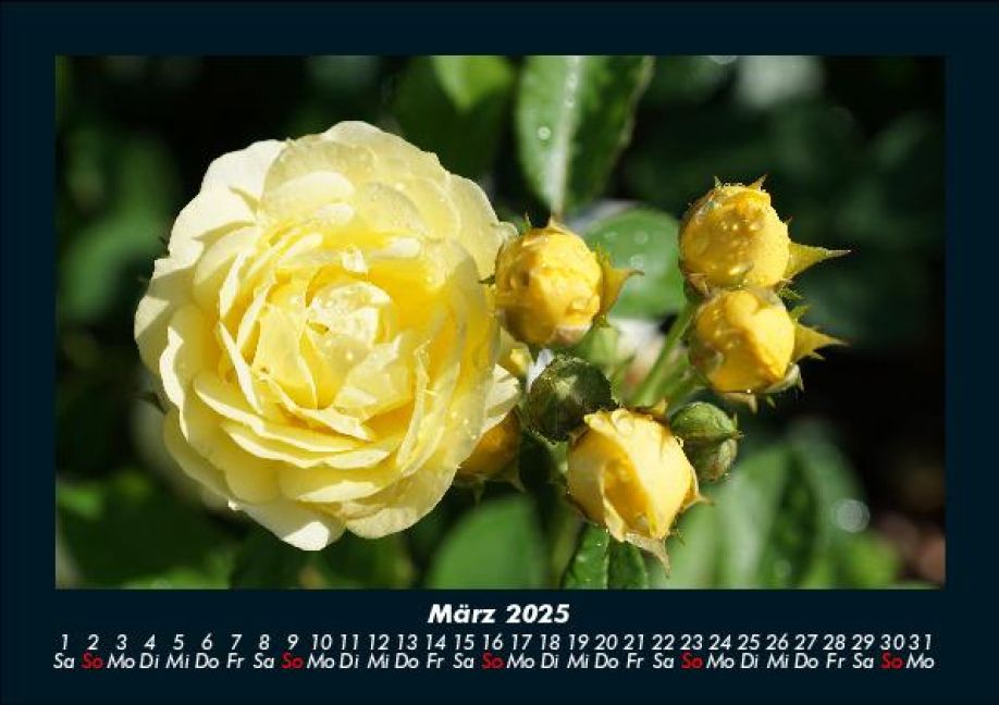 InsideView 7