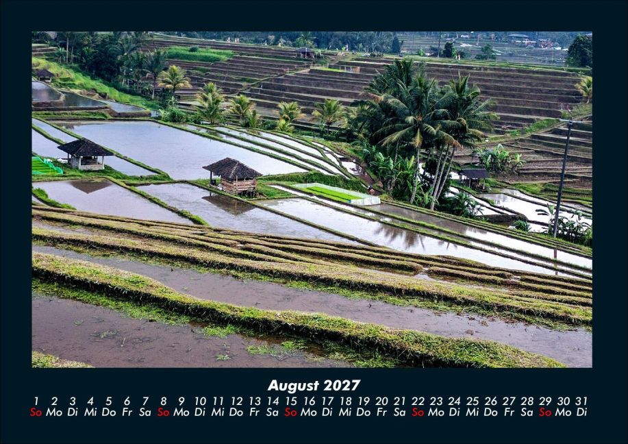 InsideView 12