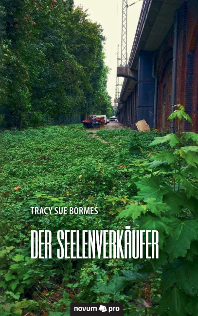 Der Seelenverkäufer - Tracy Sue Bormes