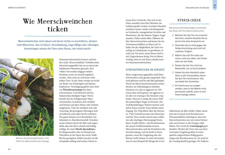 InsideView 6
