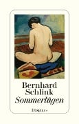 Cover-Bild zum Titel 'Sommerlügen' von 'Bernhard Schlink'