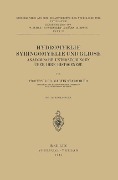 Hydromyelie Syringomyelie und Gliose - Martin Staemmler