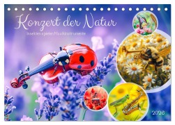 Cover-Bild zum Titel 'Konzert der Natur - Insekten spielen Musikinstrumente (Tischkalender 2026 DIN A5 quer), CALVENDO Monatskalender' von 'Anja Frost'