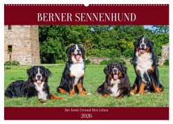 Cover-Bild zum Titel 'Berner Sennenhund - Der beste Freund fürs Leben (Wandkalender 2026 DIN A2 quer), CALVENDO Monatskalender' von 'Sigrid Starick'
