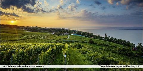 InsideView 8