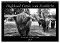 Highland Cattle vom Nordlicht - Faszination Hochland Rind (Wandkalender 2024 DIN A3 quer), CALVENDO Monatskalender - Katharina Knab