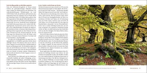 InsideView 5