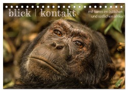 Cover-Bild zum Titel 'blick kontakt mit tieren im östlichen und südlichen afrika (Tischkalender 2026 DIN A5 quer), CALVENDO Monatskalender' von 'Rsiemer Rsiemer'