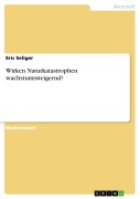 Cover-Bild zum Titel 'Wirken Naturkatastrophen wachstumssteigernd?' von 'Eric Seliger'