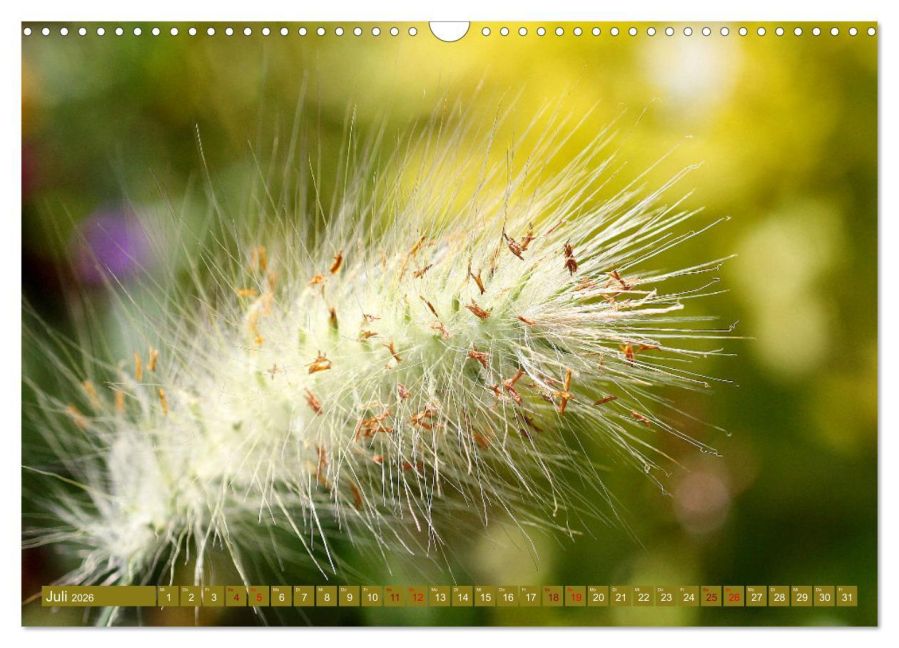 InsideView 12