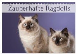 Cover-Bild zum Titel 'Zauberhafte Ragdolls / Geburtstagskalender (Tischkalender 2027 DIN A5 quer), CALVENDO Monatskalender' von 'Nicole Noack'