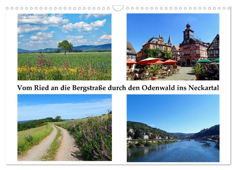 Vom Ried an die Bergstraße, durch den Odenwald ins Neckartal (Wandkalender 2025 DIN A3 quer), CALVENDO Monatskalender - Ilona Andersen