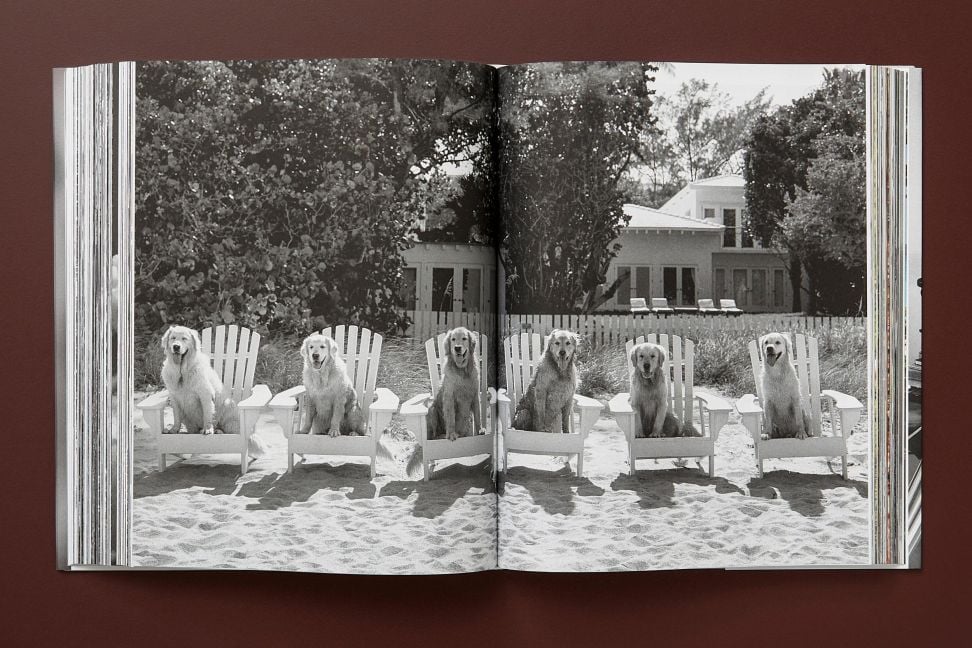 InsideView 13