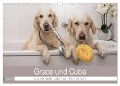 Grace und Cuba - Das verrückte Leben der Golden Girls (Wandkalender 2025 DIN A3 quer), CALVENDO Monatskalender - Jessica Bernhardt