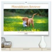 Cover-Bild zum Titel 'Pfotenblitzers Retriever Mit DIR hol ich die Sterne vom Himmel (hochwertiger Premium Wandkalender 2026 DIN A2 quer), Kunstdruck in Hochglanz' von 'Pfotenblitzer Tierfotografie'