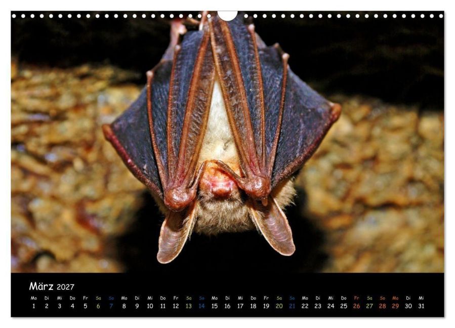 InsideView 8