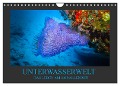 Unterwasserwelt - Das Leben am Korallenriff (Wandkalender 2024 DIN A4 quer), CALVENDO Monatskalender - Dirk Meutzner