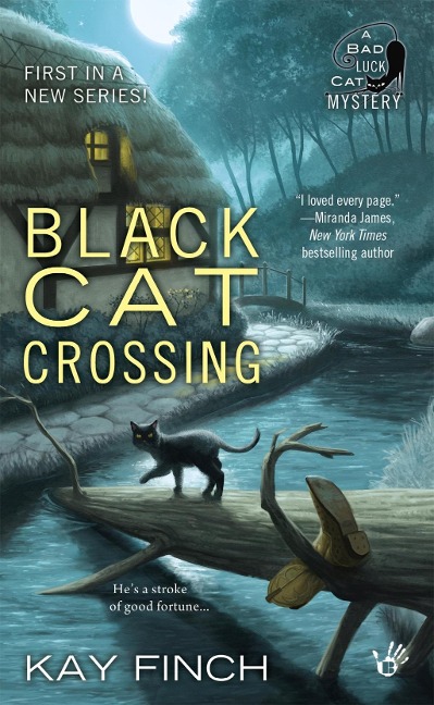 Black Cat Crossing - Kay Finch