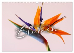 Cover-Bild zum Titel 'Die magische Welt der Blumen (Wandkalender 2026 DIN A3 quer), CALVENDO Monatskalender' von 'Sf Sf'