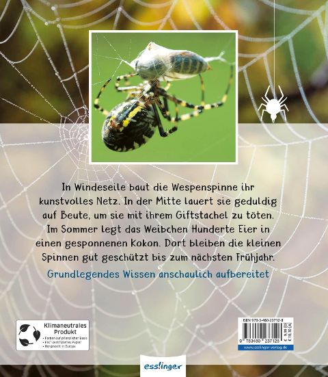 InsideView 6
